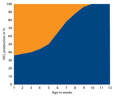 chart showing HCL production vs Age in weeks