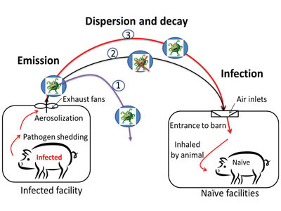 Diagram showing how pathogens spread