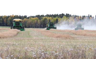 three combines in a field