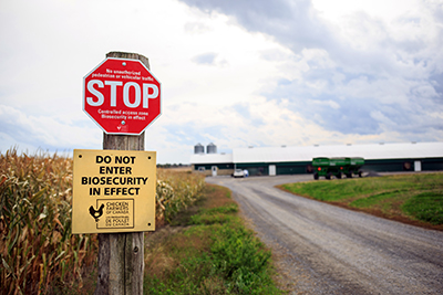 STOP sign with Biosecurity Warning sign