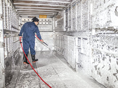 worker spraying soap inside truck unit