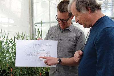 Dr. John Laurie and Dr. André Laroche confer on circadian clock project for wheat