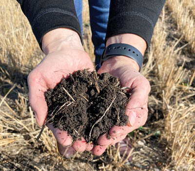 hand holding soil in field