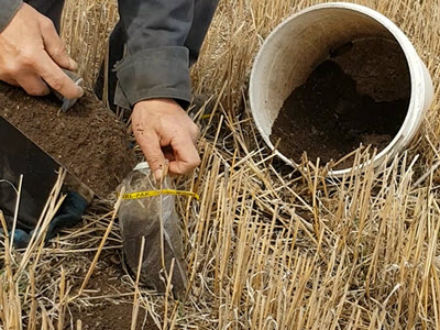 farmer putting soil into bag