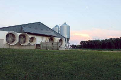farm of Leon Sheets, barn at sunset