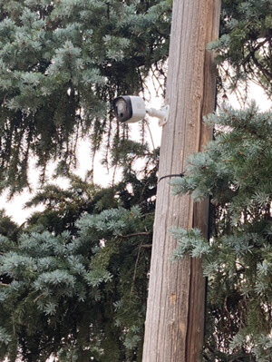 security camera installed on a tall post