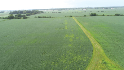 aerial view of a soybean field showing Fierce EZ trial