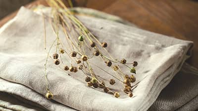 Flax Seed Plant on Folded Linen
