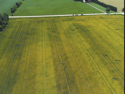 aerial view of sulphur treated wheat field 