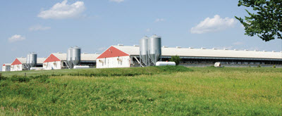 hog farm Iowa