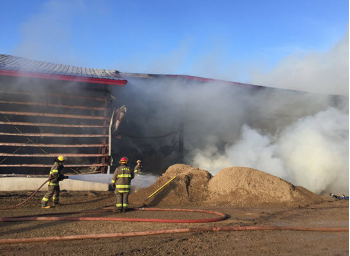 Barn fire near Monck causes multimillion dollar damage ...