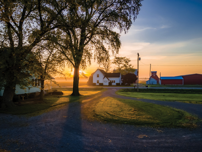 farm property at sunset