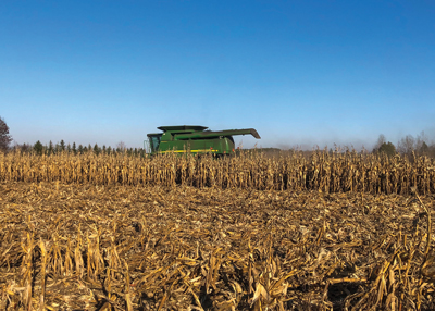 John Deere harvesting corn