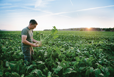 man in field holding sugar beet