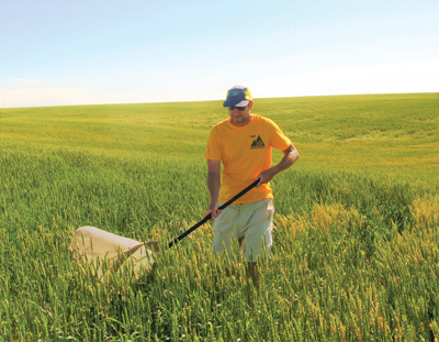 man doing a net sweep of field