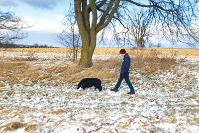 man walking dog on snowy field