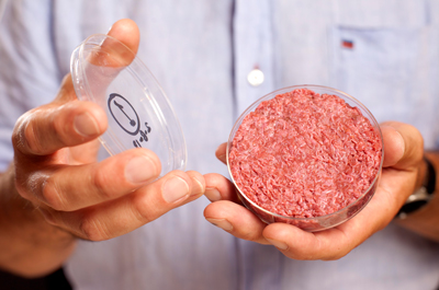 hands holding petri dish containing meat 