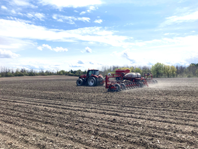Tractor Seeding a Corn Field