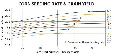 Chart comparing corn seeding rate and grain yield