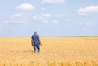 farmer walking through crop field