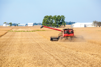 combine harvesting field