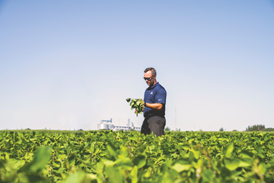 Shawn Rempel in soybean field looking at plants