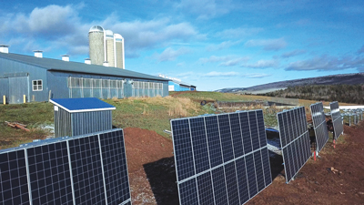Solar Panels at Auenland Farms