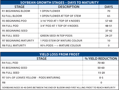 chart showing soybean growth stages and yield loss from frost