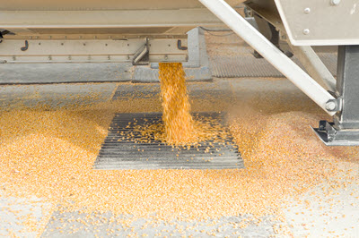 unloading corn from semi