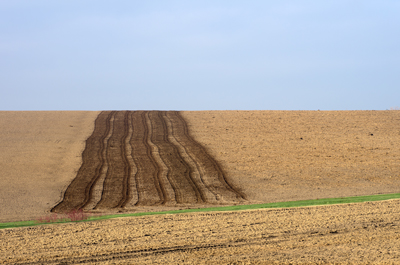 Field with Manure Applied