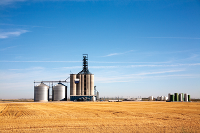Grain Elevator in Wheat Field