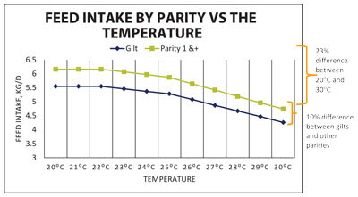 Graph comparing feed intake and temperature