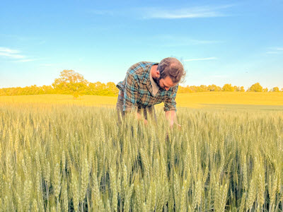 farmer checking winter wheat field